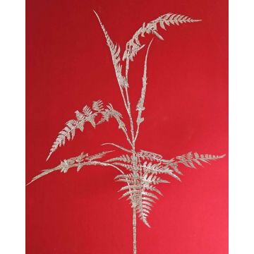 Branche décorative d'Asparagus plumosus GIONA, argent, 85cm Branche décorative d'Asparagus plumosus GIONA, argent, 85cm