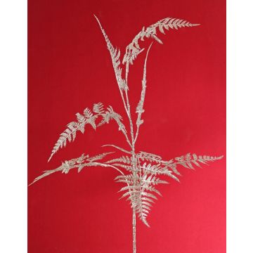 Branche décorative d'Asparagus plumosus GIONA, argent, 85 cm Branche décorative d'Asparagus plumosus GIONA, argent, 85 cm