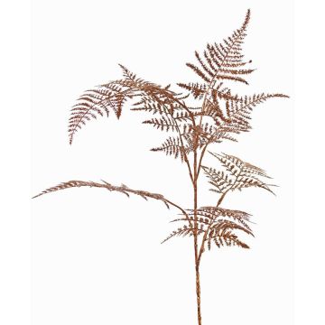 Branche décorative d'Asparagus plumosus GIONA, cuivre, 85cm Branche décorative d'Asparagus plumosus GIONA, cuivre, 85cm