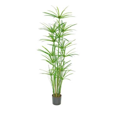 Herbe de Chypre artificielle LEITHA, verte, 150 cm Herbe de Chypre artificielle LEITHA, verte, 150 cm