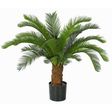 Cycas décoratif SLITAL, 80cm