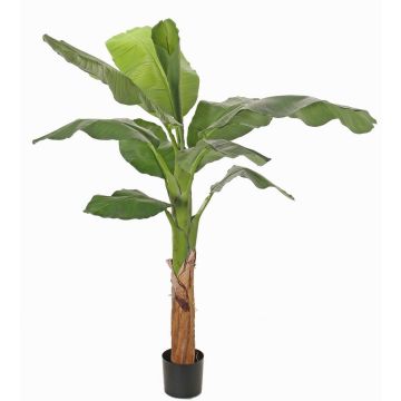 Banane artificiel SCHWANA, 150cm Banane artificiel SCHWANA, 150cm