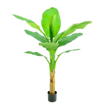 Banane artificiel SCHWANA, 150 cm Banane artificiel SCHWANA, 150 cm