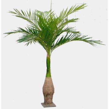 Palmier Ravenea en plastique KOKIN, 265cm