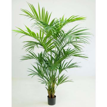 Palmier Kentia artificiel PAIGE, 220cm