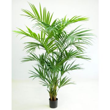 Palmier Kentia artificiel PAIGE, 220 cm Palmier Kentia artificiel PAIGE, 220 cm