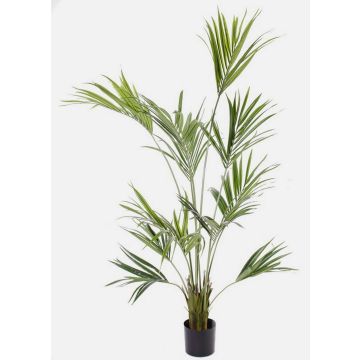 Palmier Kentia artificiel PAIGE, 185cm