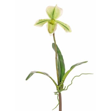 Orchid&eacute;e Paphiopedilum artificielle VELANA, piquet, vert-blanc, 40cm