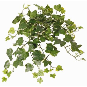 Lierre artificiel suspendu ARJANA, tige, crossdoor, vert-blanc, 50cm Lierre artificiel suspendu ARJANA, tige, crossdoor, vert-blanc, 50cm