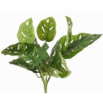 Philodendron Monstera adansonii artificiel ARKADIO, tige, 40cm Philodendron Monstera adansonii artificiel ARKADIO, tige, 40cm