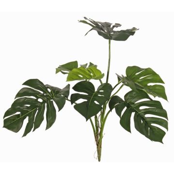 Philodendron Monstera Deliciosa décoratif CHANIA, Crossdoor, tige, 75cm Philodendron Monstera Deliciosa décoratif CHANIA, Crossdoor, tige, 75cm