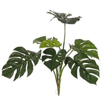 Philodendron Monstera Deliciosa décoratif CHANIA, Crossdoor, tige, 75 cm