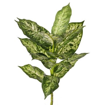 Dieffenbachia artificiel VISP, difficilement inflammable, tige, vert-blanc, 40 cm Dieffenbachia artificiel VISP, difficilement inflammable, tige, vert-blanc, 40 cm