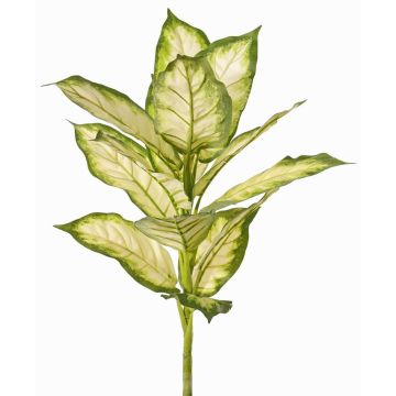 Dieffenbachia artificiel VISP, difficilement inflammable, tige, vert-crème, 40cm Dieffenbachia artificiel VISP, difficilement inflammable, tige, vert-crème, 40cm