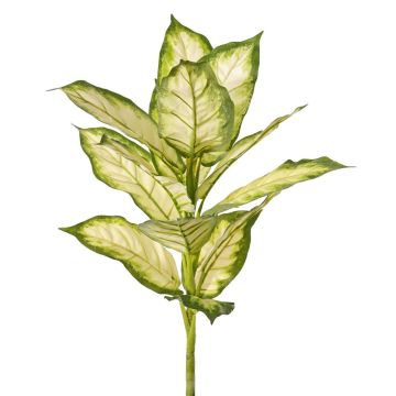 Dieffenbachia artificiel VISP, difficilement inflammable, tige, vert-crème, 40 cm Dieffenbachia artificiel VISP, difficilement inflammable, tige, vert-crème, 40 cm