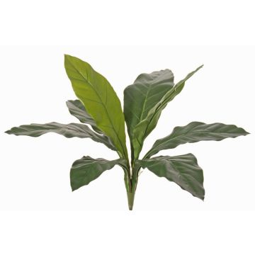 Plante artificielle Keulenlilie WORB, Crossdoor, tige, verte, 70cm Plante artificielle Keulenlilie WORB, Crossdoor, tige, verte, 70cm
