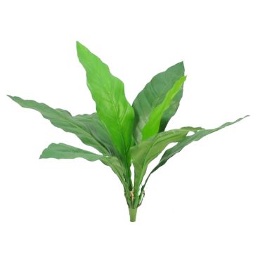 Plante artificielle « Keulenlilie » WORB, Crossdoor, tige, verte, 70 cm Plante artificielle « Keulenlilie » WORB, Crossdoor, tige, verte, 70 cm