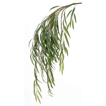 Branche de saule pleureur artificielle CASSIUS, difficilement inflammable, verte, 120 cm Branche de saule pleureur artificielle CASSIUS, difficilement inflammable, verte, 120 cm