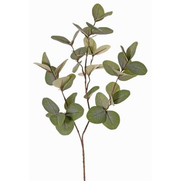 Branche d'eucalyptus artificielle EMMENDA, verte, 80cm Branche d'eucalyptus artificielle EMMENDA, verte, 80cm