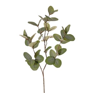 Branche d'eucalyptus artificielle EMMENDA, verte, 80 cm Branche d'eucalyptus artificielle EMMENDA, verte, 80 cm