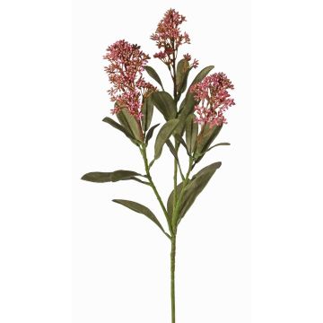Branche de skimmia artificielle LAUSANA avec fleurs, mauve, 65cm, Ø7cm Branche de skimmia artificielle LAUSANA avec fleurs, mauve, 65cm, Ø7cm