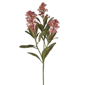 Branche de skimmia artificielle LAUSANA avec fleurs, mauve, 65 cm, Ø 7 cm Branche de skimmia artificielle LAUSANA avec fleurs, mauve, 65 cm, Ø 7 cm