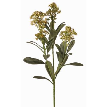 Branche de skimmia artificielle LAUSANA avec fleurs, verte, 65cm, Ø7cm Branche de skimmia artificielle LAUSANA avec fleurs, verte, 65cm, Ø7cm