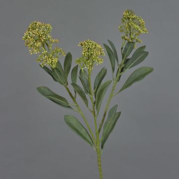 Branche de skimmia artificielle LAUSANA avec fleurs, verte, 65 cm, Ø 7 cm Branche de skimmia artificielle LAUSANA avec fleurs, verte, 65 cm, Ø 7 cm