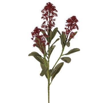 Branche de skimmia artificielle LAUSANA avec fleurs, bordeaux, 65 cm, Ø 7 cm Branche de skimmia artificielle LAUSANA avec fleurs, bordeaux, 65 cm, Ø 7 cm