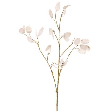 Branche de lunaria artificielle KONIA, crème, 95 cm