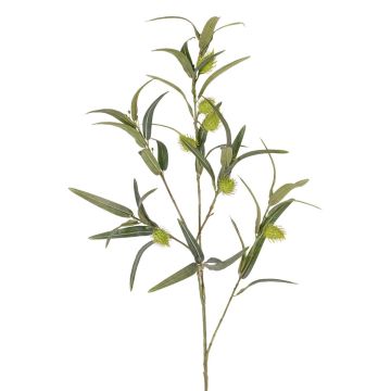 Branche d'euphorbe ballon TASMIN, fruits, verte, 95 cm Branche d'euphorbe ballon TASMIN, fruits, verte, 95 cm
