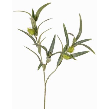 Branche d'euphorbe ballon artificielle TASMIN, fruits, verte, 65cm Branche d'euphorbe ballon artificielle TASMIN, fruits, verte, 65cm