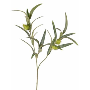 Branche d'euphorbe « ballon » artificielle TASMIN, fruits, verte, 65 cm Branche d'euphorbe « ballon » artificielle TASMIN, fruits, verte, 65 cm