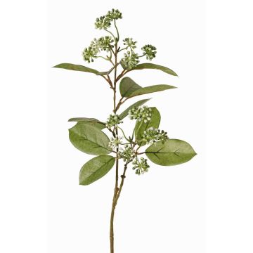 Branche de cornouiller artificielle PANGO avec bourgeons, vert-blanc, 70cm, Ø7cm Branche de cornouiller artificielle PANGO avec bourgeons, vert-blanc, 70cm, Ø7cm