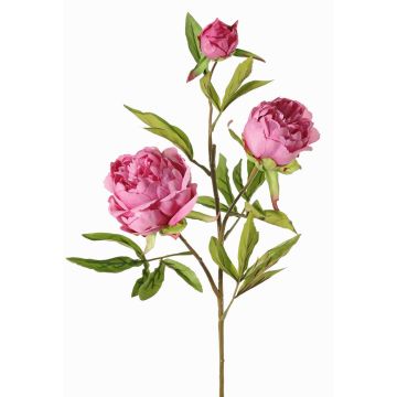 Branche artificielle Pivoine MANJA, violet, 70cm, Ø8-10cm Branche artificielle Pivoine MANJA, violet, 70cm, Ø8-10cm