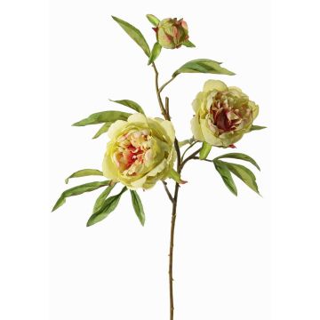 Branche artificielle Pivoine MANJA, vert-fuchsia, 70cm, Ø8-10cm Branche artificielle Pivoine MANJA, vert-fuchsia, 70cm, Ø8-10cm