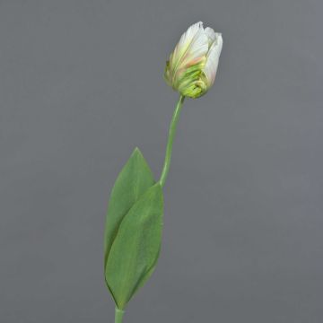 Fleur artificielle Tulipe perroquet UAKARI, blanc-vert, 65cm, Ø6cm