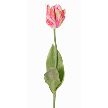 Fleur artificielle Tulipe perroquet UAKARI, rose-crème-vert, 65cm, Ø6cm Fleur artificielle Tulipe perroquet UAKARI, rose-crème-vert, 65cm, Ø6cm