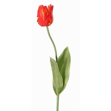 Fleur artificielle Tulipe perroquet UAKARI, rouge-orange-vert, 65cm, Ø6cm Fleur artificielle Tulipe perroquet UAKARI, rouge-orange-vert, 65cm, Ø6cm