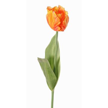 Fleur artificielle Tulipe perroquet UAKARI, orange-jaune, 65cm, Ø6cm Fleur artificielle Tulipe perroquet UAKARI, orange-jaune, 65cm, Ø6cm