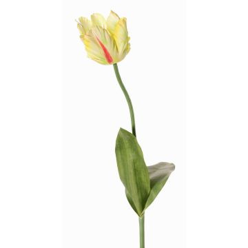 Fleur artificielle Tulipe perroquet UAKARI, jaune-vert-fuchsia, 65cm, Ø6cm Fleur artificielle Tulipe perroquet UAKARI, jaune-vert-fuchsia, 65cm, Ø6cm