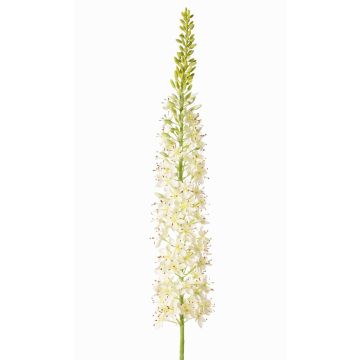 Grande fleur artificielle « bougie des steppes » SELINA, blanche, 130 cm, Ø 9 cm Grande fleur artificielle « bougie des steppes » SELINA, blanche, 130 cm, Ø 9 cm