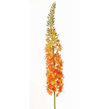 Grande fleur artificielle « bougie des steppes » SELINA, orange, 130 cm, Ø 9 cm Grande fleur artificielle « bougie des steppes » SELINA, orange, 130 cm, Ø 9 cm