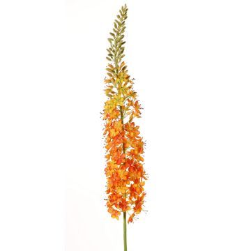Grande fleur artificielle « bougie des steppes » SELINA, orange, 130 cm, Ø 9 cm