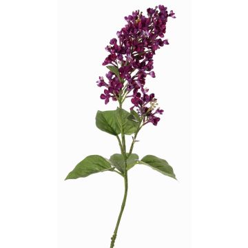 Branche décorative Lilas ADMIR, violet foncé, 80cm Branche décorative Lilas ADMIR, violet foncé, 80cm