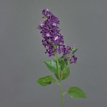 Branche décorative Lilas ADMIR, violet foncé, 80cm