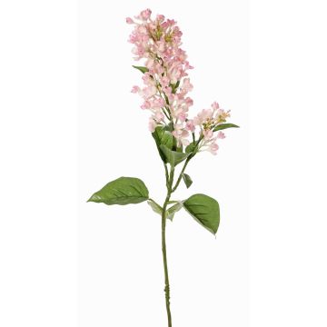 Branche décorative Lilas ADMIR, rose-crème, 80cm Branche décorative Lilas ADMIR, rose-crème, 80cm