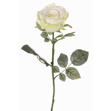 Rose en tissu HUSA, blanc-vert, 75cm, Ø10cm Rose en tissu HUSA, blanc-vert, 75cm, Ø10cm