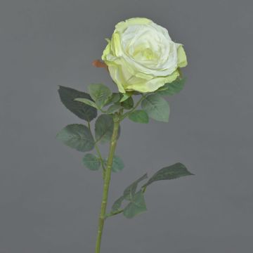 Rose en tissu HUSA, blanc-vert, 75cm, Ø10cm Rose en tissu HUSA, blanc-vert, 75cm, Ø10cm