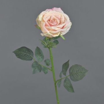 Rose en tissu HUSA, rose-crème, 75cm, Ø10cm Rose en tissu HUSA, rose-crème, 75cm, Ø10cm